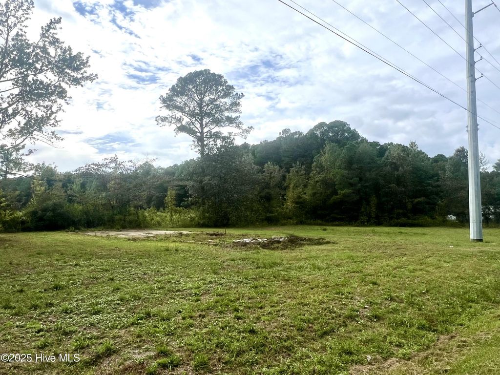 Photo of 5179 Whichard Road, Greenville, NC 27834 (MLS # 100535796)