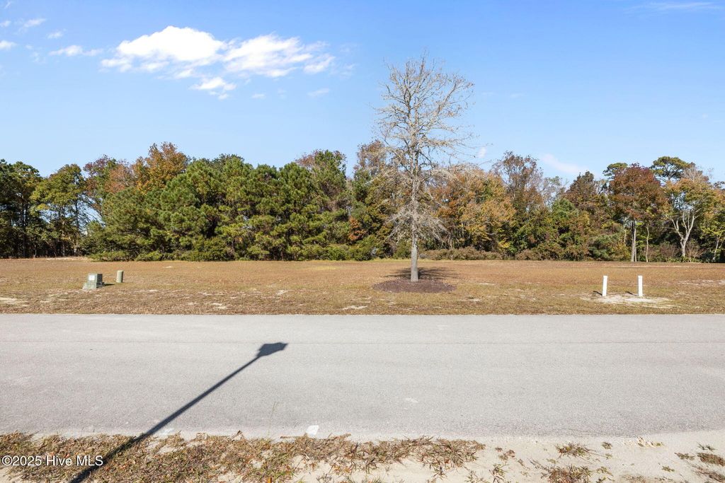 Photo of 117 Hardwick Lane, Newport, NC 28570 (MLS # 100541189)