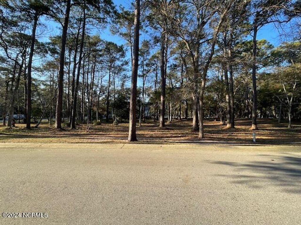 Photo of 720 Beaufain Street SW, Supply, NC 28462 (MLS # 100491163)