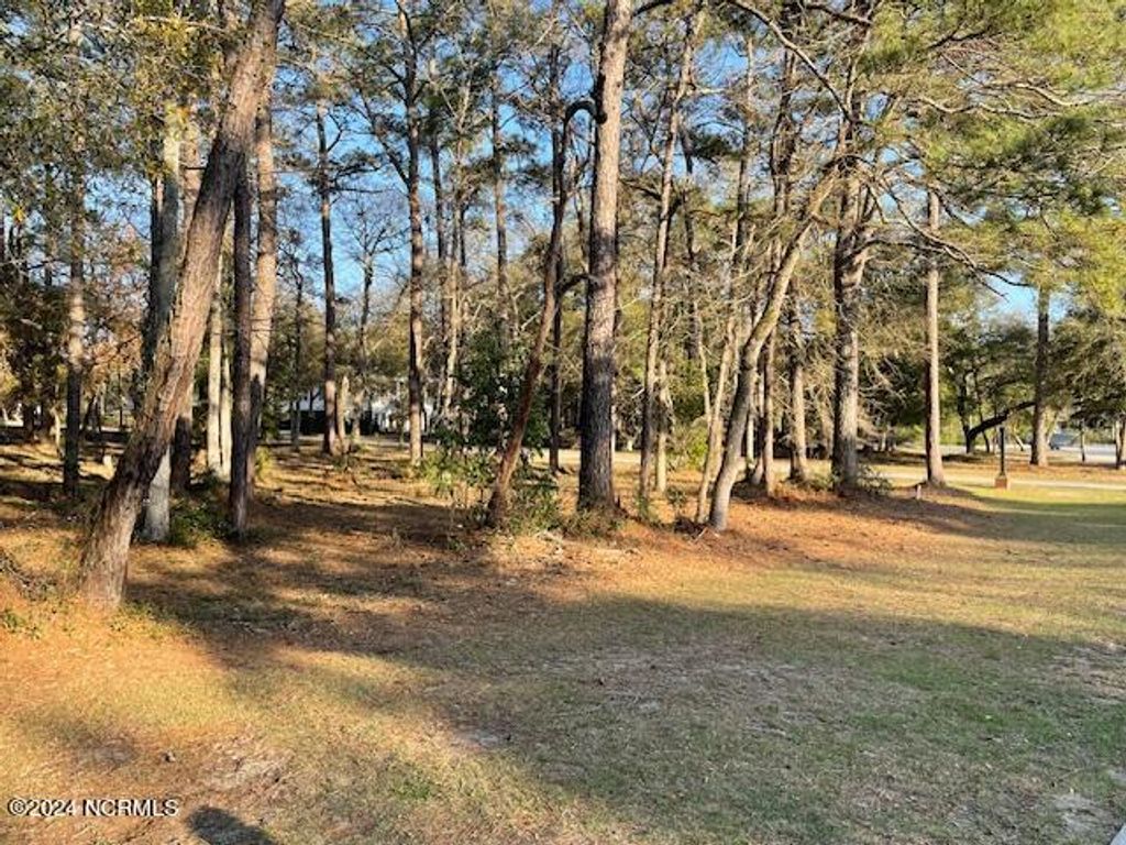 Photo of 720 Beaufain Street SW, Supply, NC 28462 (MLS # 100491163)