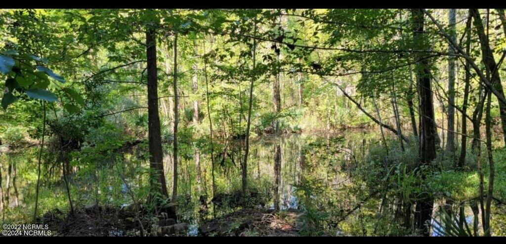 Photo of Tbd Ella Sofia Lane, New Bern, NC 28562 (MLS # 100394690)
