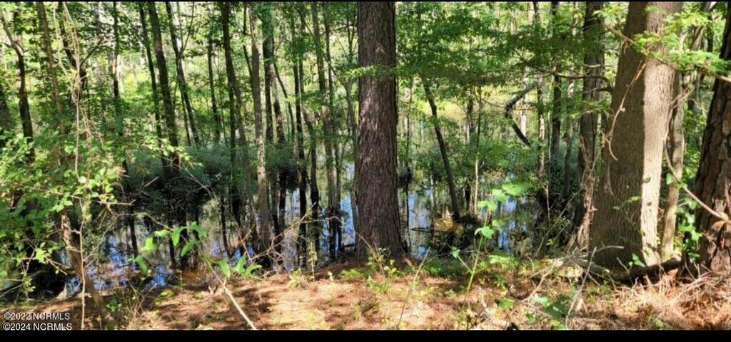 Photo of Tbd Ella Sofia Lane, New Bern, NC 28562 (MLS # 100394690)