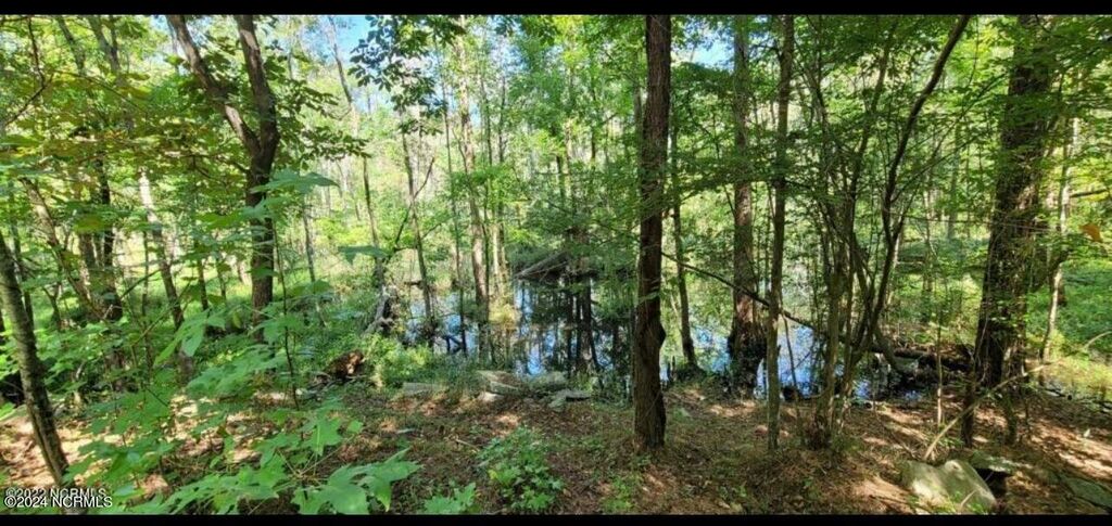 Photo of Tbd Ella Sofia Lane, New Bern, NC 28562 (MLS # 100394690)