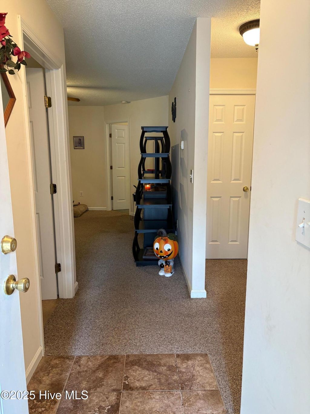 Photo of 103 W Heron Court, Elizabeth Cty, NC 27909 (MLS # 100537063)