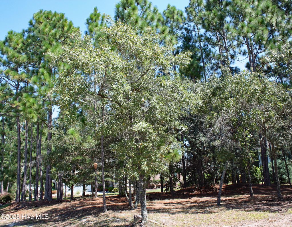 Photo of 6452 Kirkwall Point SW, Ocean Isle Beach, NC 28469 (MLS # 100528900)