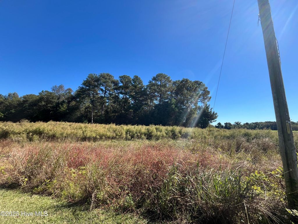 Photo of 153 Mb Bennett Lane, Clinton, NC 28328 (MLS # 100537126)