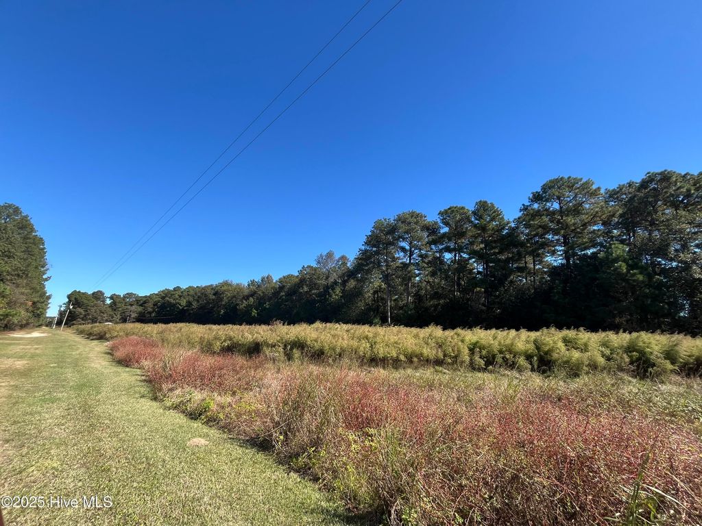 Photo of 153 Mb Bennett Lane, Clinton, NC 28328 (MLS # 100537126)