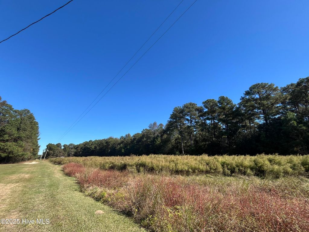Photo of 153 Mb Bennett Lane, Clinton, NC 28328 (MLS # 100537126)