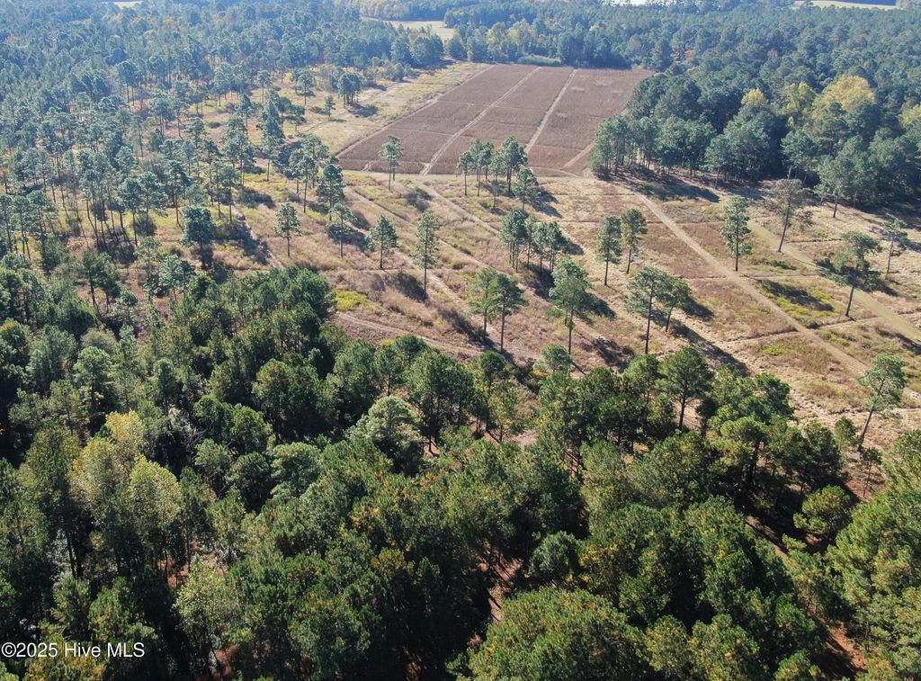 Photo of 0 W Magnolia-Lisbon Road, Rose Hill, NC 28458 (MLS # 100543276)