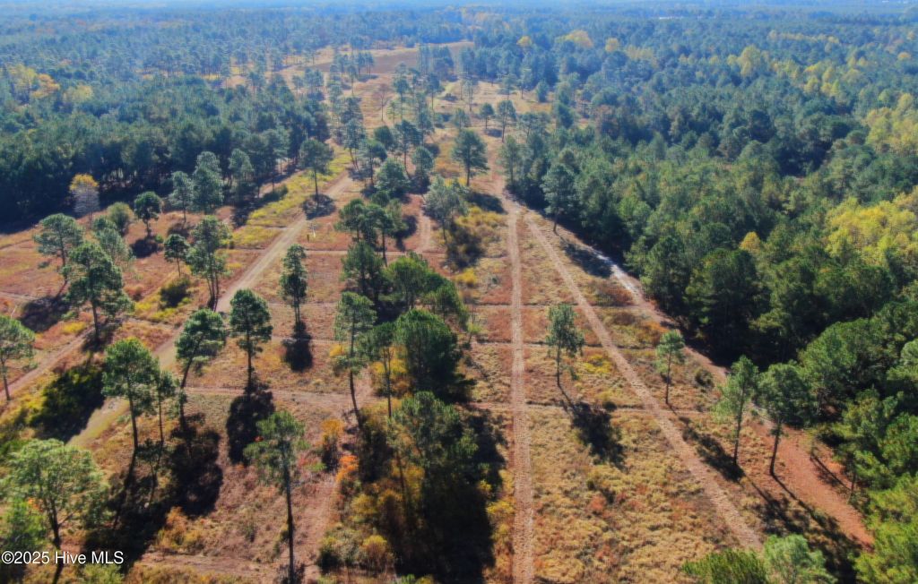 Photo of 0 W Magnolia-Lisbon Road, Rose Hill, NC 28458 (MLS # 100543276)