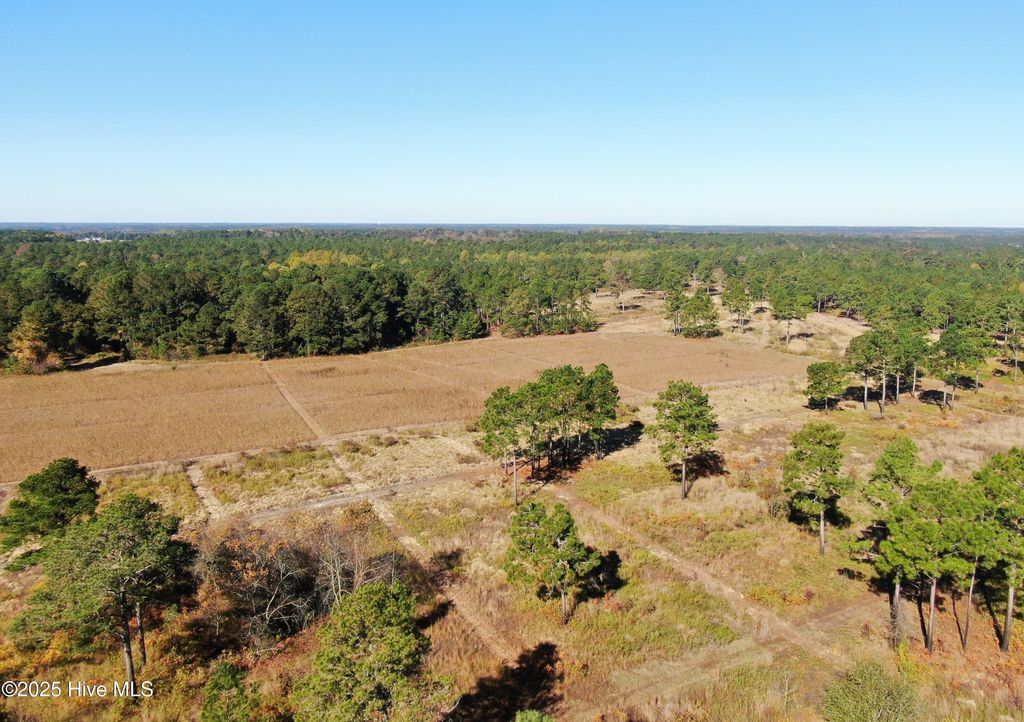 Photo of 0 W Magnolia-Lisbon Road, Rose Hill, NC 28458 (MLS # 100543276)