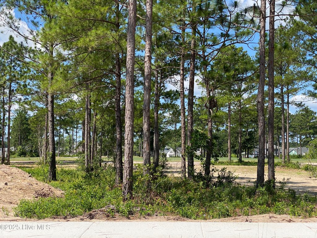 Photo of 8743 Compass Pointe West Wynd NE, Leland, NC 28451 (MLS # 100514354)