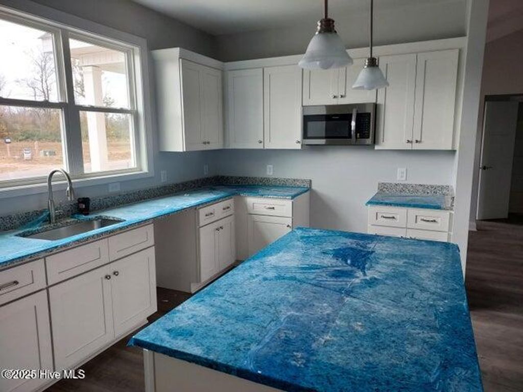 Photo of 805 Short Row Court, Maysville, NC 28555 (MLS # 100522808)