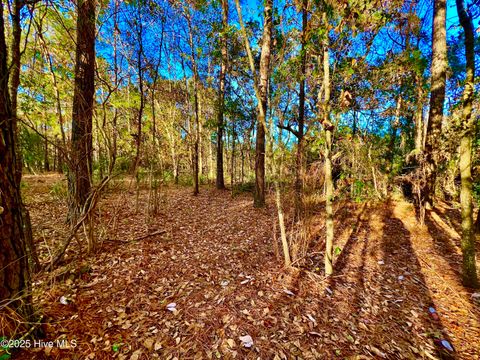Tiny photo for 20689 Us Highway 17, Hampstead, NC 28443 (MLS # 100536501)
