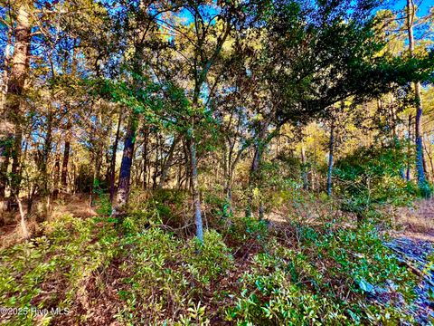 Tiny photo for 20689 Us Highway 17, Hampstead, NC 28443 (MLS # 100536501)