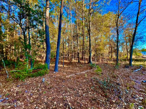 Tiny photo for 20689 Us Highway 17, Hampstead, NC 28443 (MLS # 100536501)