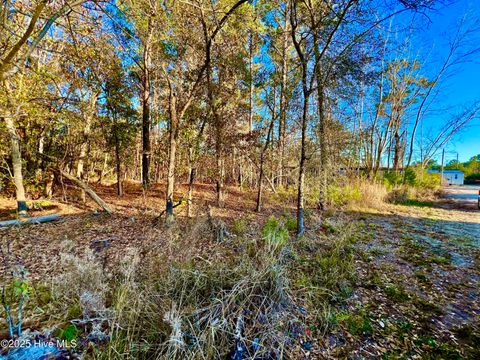 Tiny photo for 20689 Us Highway 17, Hampstead, NC 28443 (MLS # 100536501)