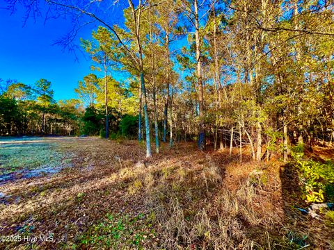 Tiny photo for 20689 Us Highway 17, Hampstead, NC 28443 (MLS # 100536501)