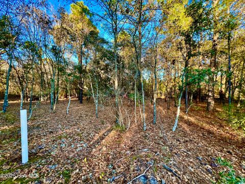 Tiny photo for 20689 Us Highway 17, Hampstead, NC 28443 (MLS # 100536501)