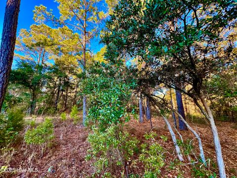 Tiny photo for 20689 Us Highway 17, Hampstead, NC 28443 (MLS # 100536501)