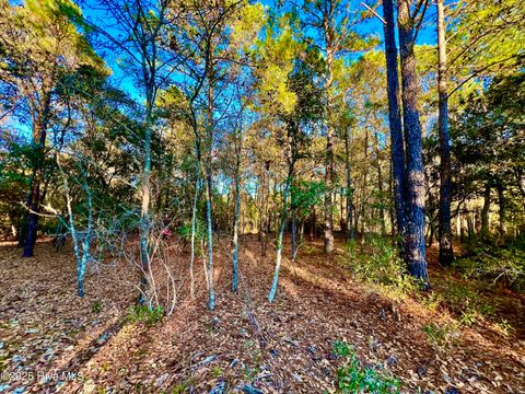 Tiny photo for 20689 Us Highway 17, Hampstead, NC 28443 (MLS # 100536501)