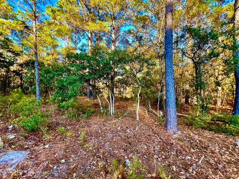 Tiny photo for 20689 Us Highway 17, Hampstead, NC 28443 (MLS # 100536501)