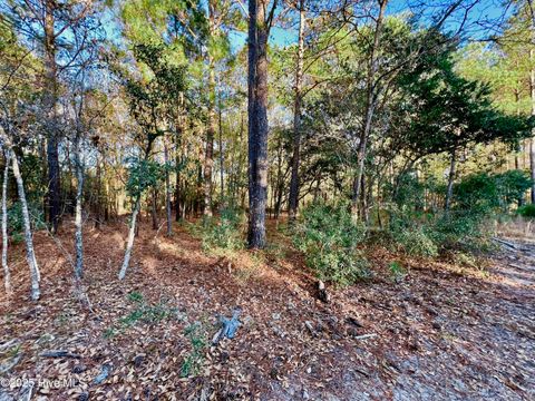 Tiny photo for 20689 Us Highway 17, Hampstead, NC 28443 (MLS # 100536501)