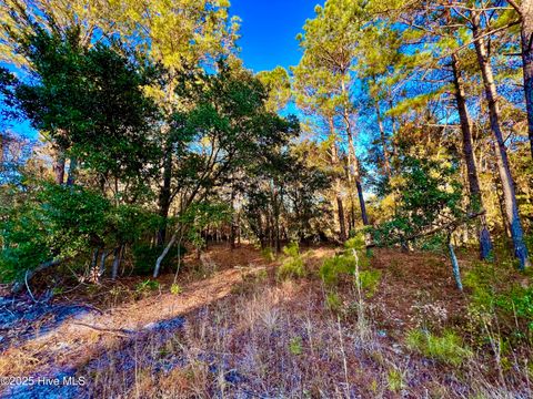 Tiny photo for 20689 Us Highway 17, Hampstead, NC 28443 (MLS # 100536501)