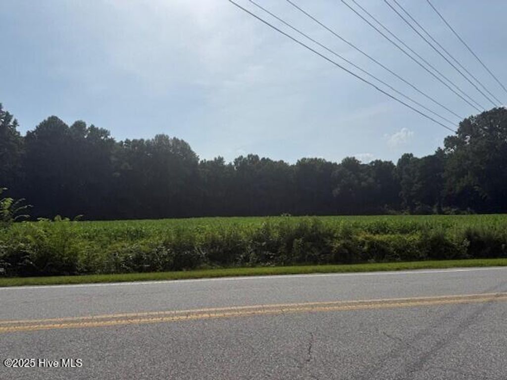 Photo of Tbd Wise Store Rd. Lot 2, Murfreesboro, NC 27855 (MLS # 100520547)