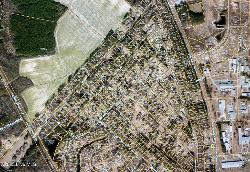 Photo of 101 Colony Drive, Edenton, NC 27932 (MLS # 100538672)