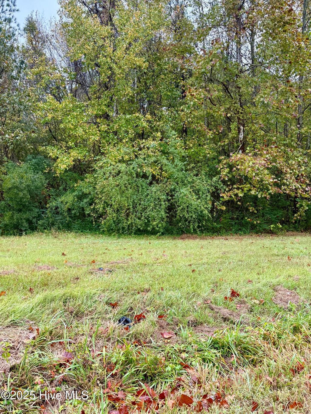 Photo of 101 Colony Drive, Edenton, NC 27932 (MLS # 100538672)