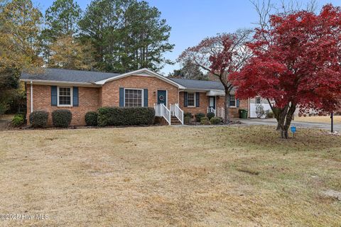 Photo of 103 N Parks Drive, Pikeville, NC 27863 (MLS # 100542498)