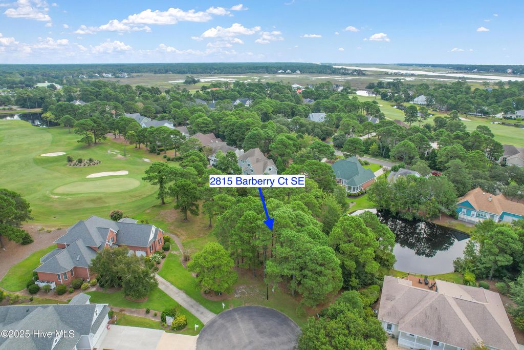 Photo of 2815 Barberry Court SE, Southport, NC 28461 (MLS # 100527870)