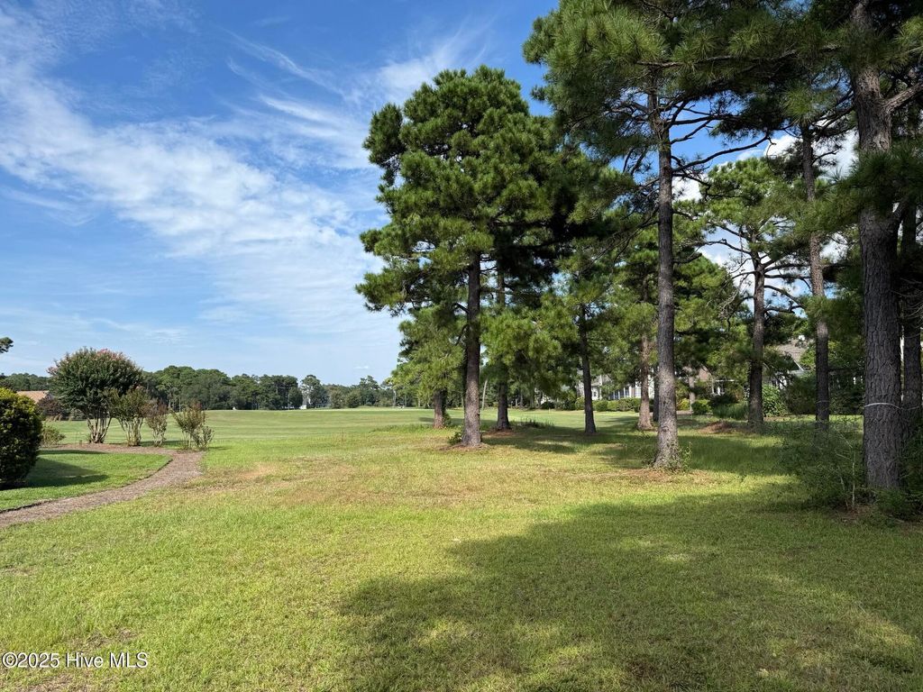 Photo of 2815 Barberry Court SE, Southport, NC 28461 (MLS # 100527870)