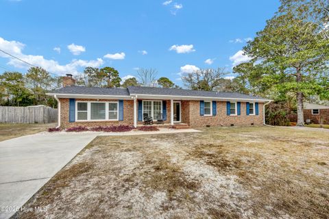Photo of 134 Cherokee Trail, Wilmington, NC 28409 (MLS # 100543844)