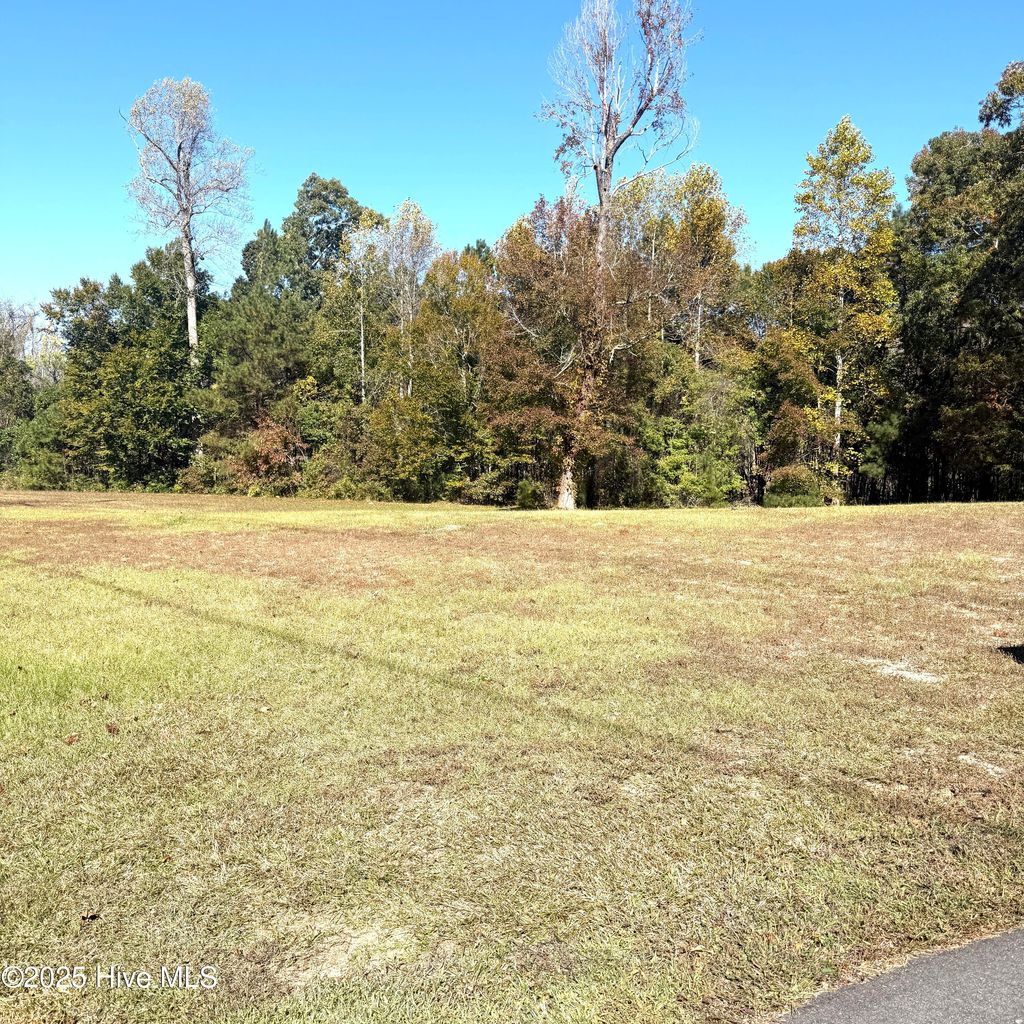 Photo of 212 Deer Path Trail, Edenton, NC 27932 (MLS # 100539075)