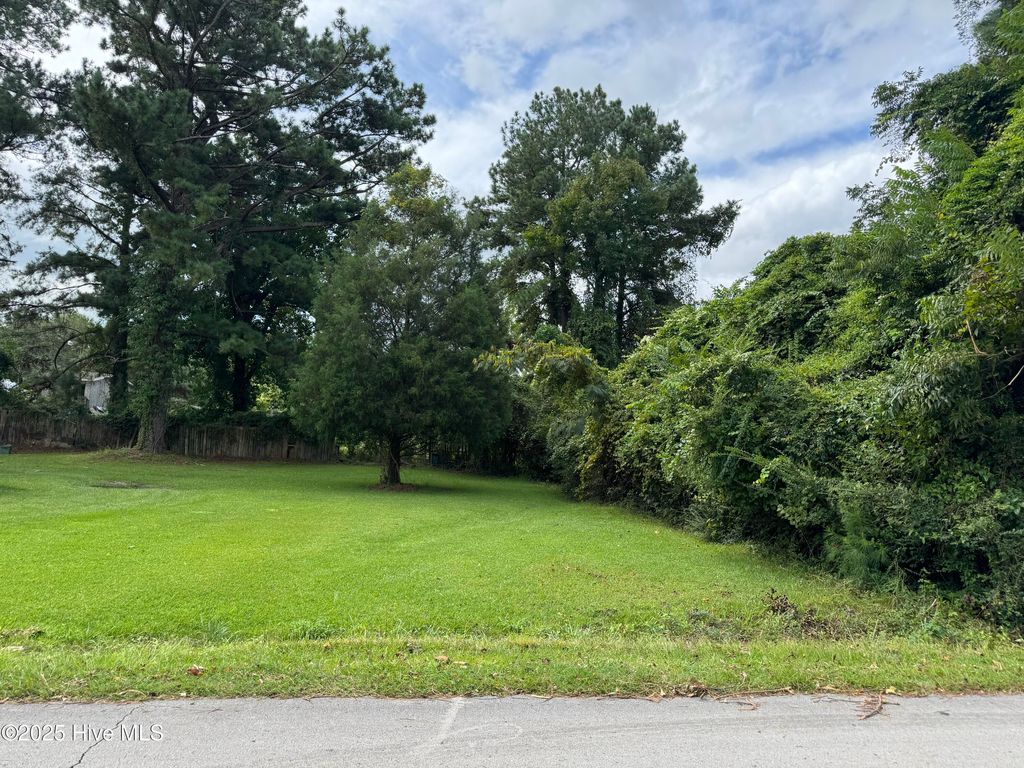 Photo of 1909 Aycock Avenue, New Bern, NC 28562 (MLS # 100526615)