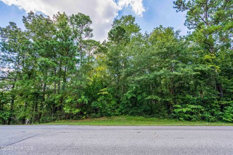 Tiny photo for 109 Corcus Ferry Road, Hampstead, NC 28443 (MLS # 100528995)