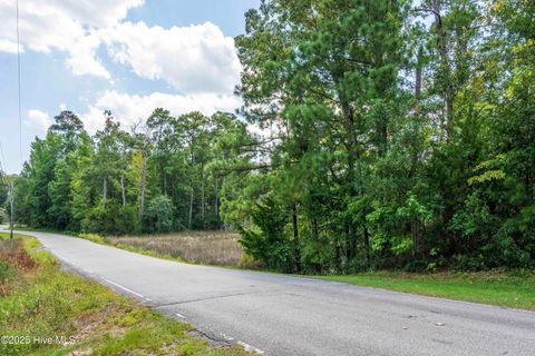 Tiny photo for 109 Corcus Ferry Road, Hampstead, NC 28443 (MLS # 100528995)