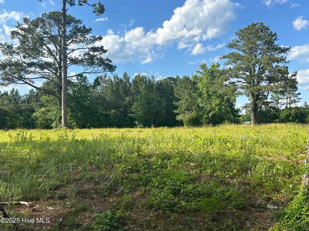 Photo of 0000 Hubert Boulevard, Hubert, NC 28539 (MLS # 100509614)