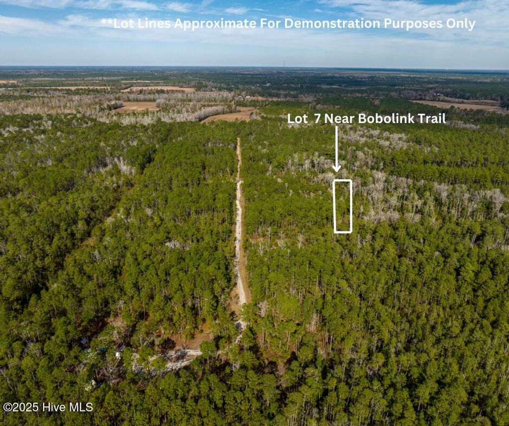 Photo of 7 Bobolink Trail SE, Southport, NC 28461 (MLS # 100532177)