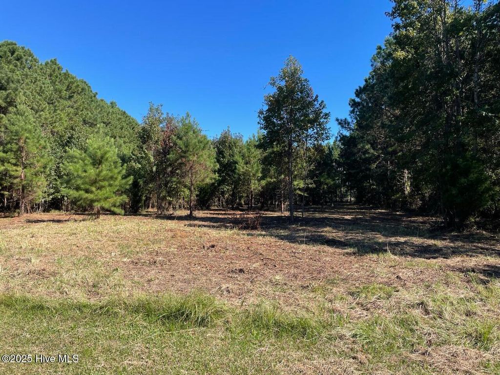 Photo of 327 Garbacon Drive, Beaufort, NC 28516 (MLS # 100537681)