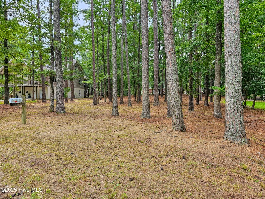 Photo of 103 Greenbriar Lane, Washington, NC 27889 (MLS # 100523095)