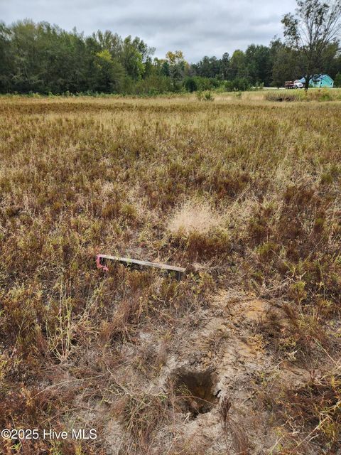 Tiny photo for 210 Hwy, Currie, NC 28435 (MLS # 100535115)