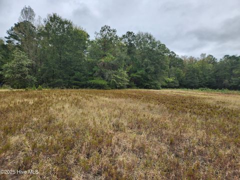 Tiny photo for 210 Hwy, Currie, NC 28435 (MLS # 100535115)