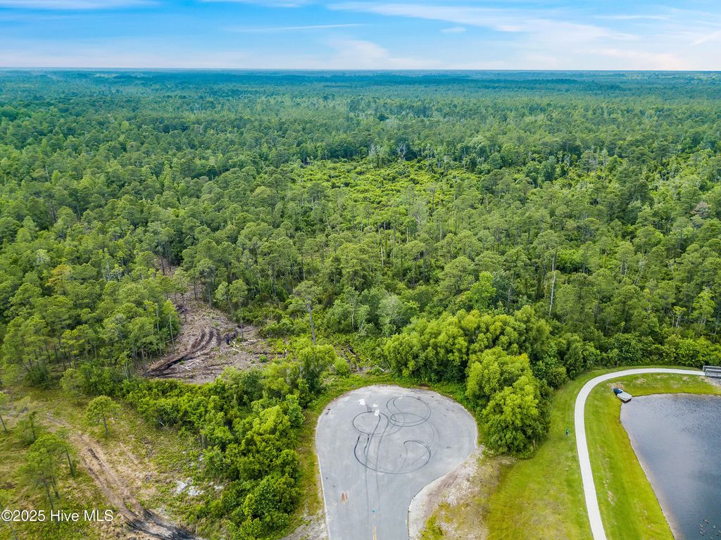 Photo of 361362 Greenview Ranches, Wilmington, NC 28411 (MLS # 100543460)