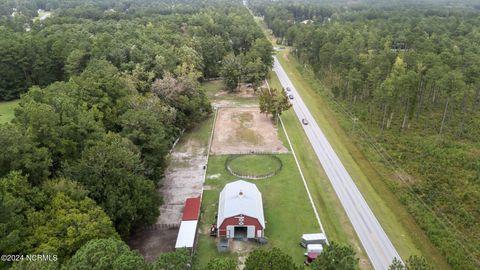 A home in Havelock