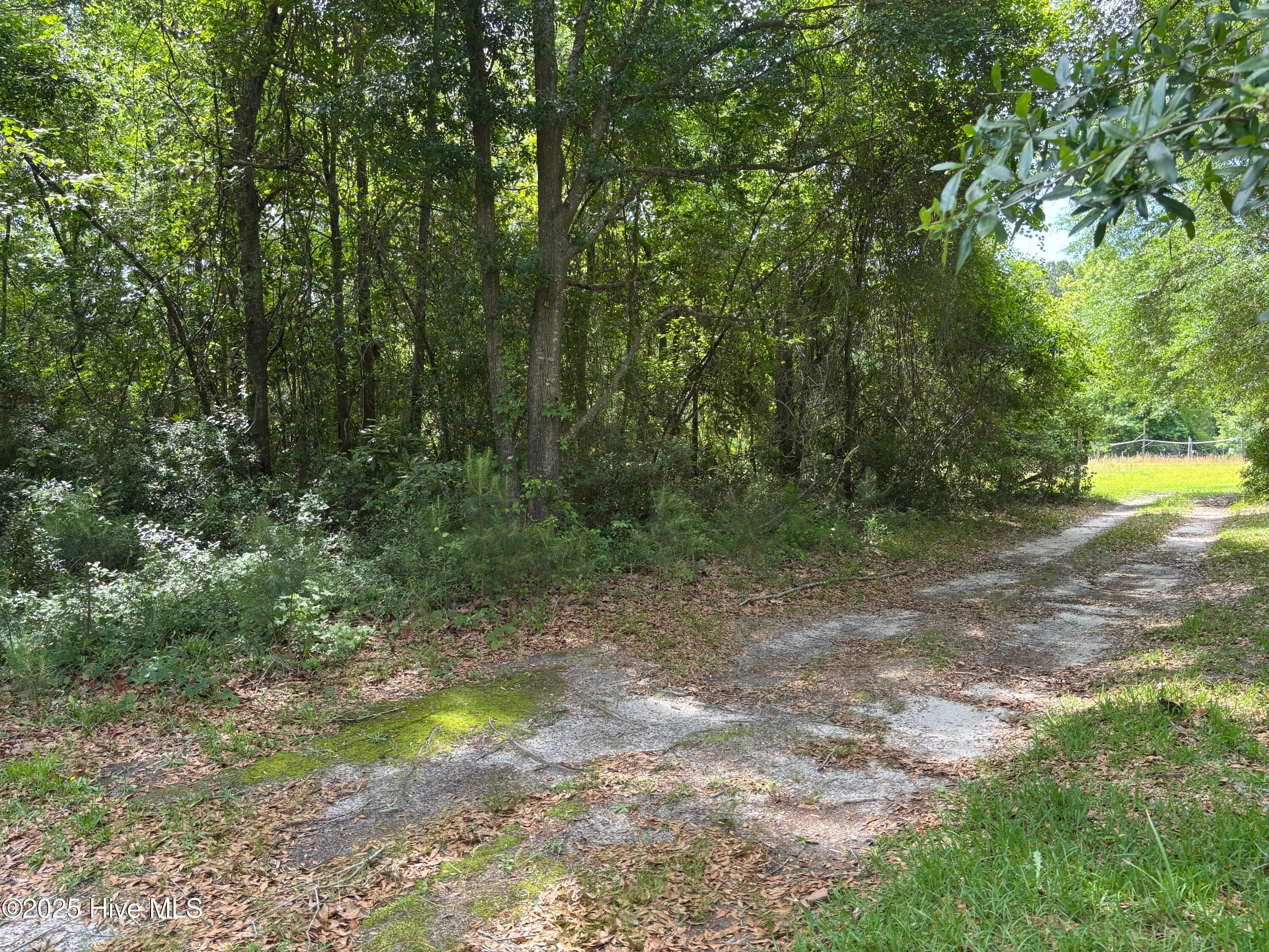 Burgaw, North Carolina 28425, United States, 3 Bedrooms Bedrooms, ,2 BathroomsBathrooms,Residential,Pending,139790