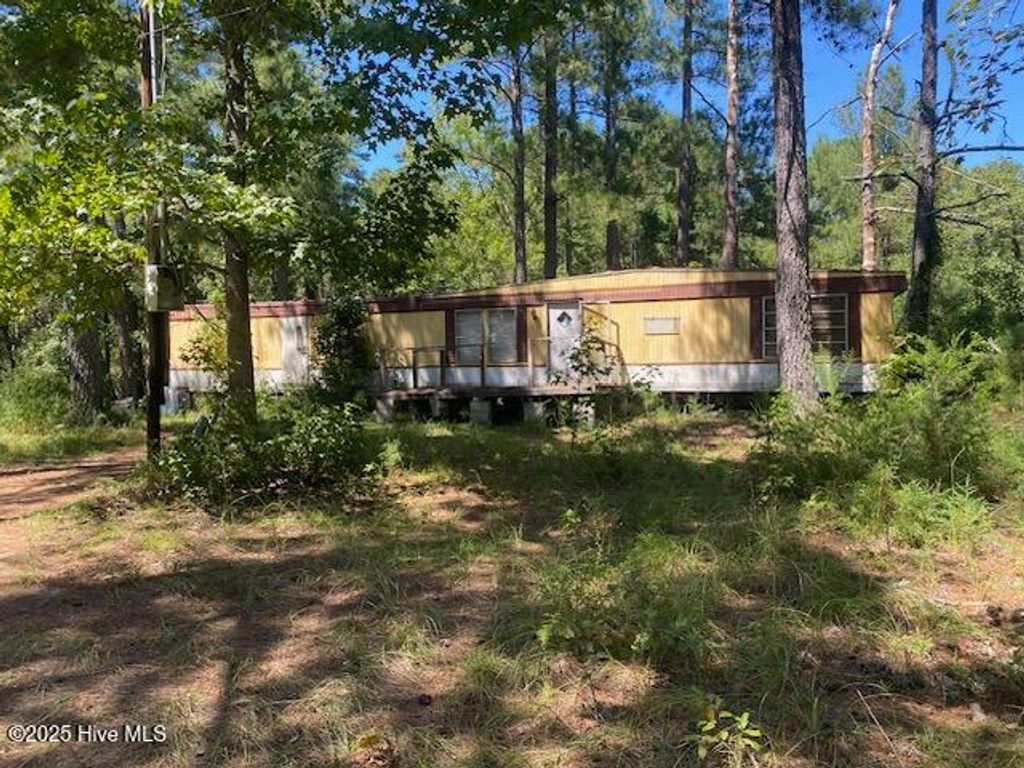 Photo of 220 Riverview Drive, Vass, NC 28394 (MLS # 100535675)