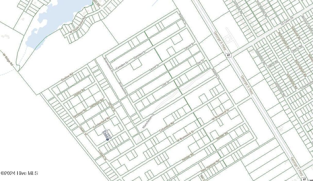 Photo of 342 Roberson Road, Boiling Spring Lakes, NC 28461 (MLS # 100477701)